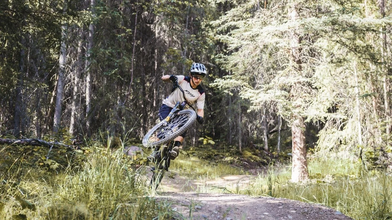 Shining Trail
