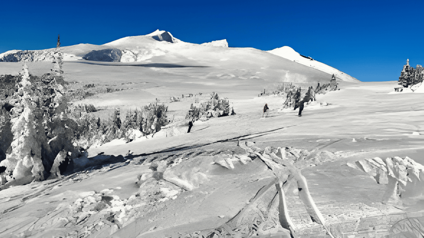 Alpenhorn