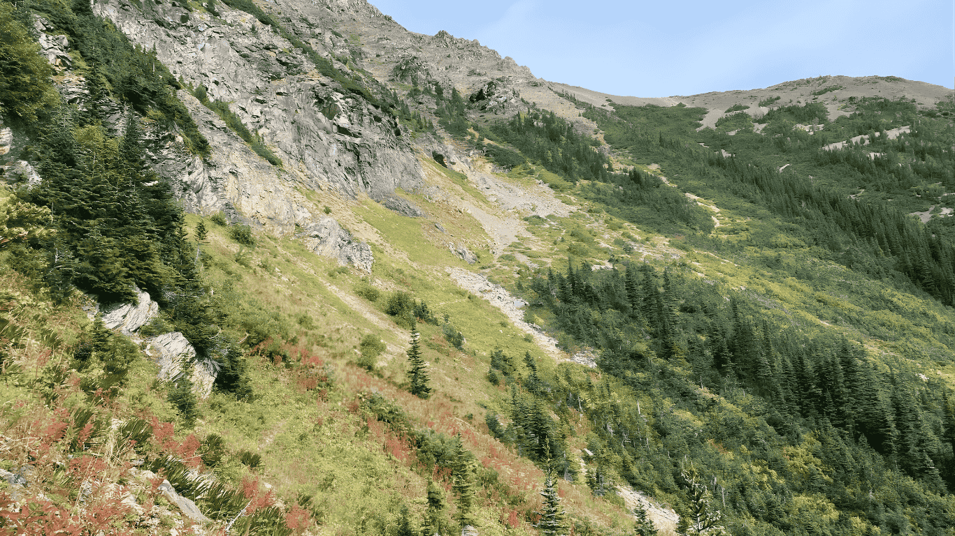 Little Joe Creek Trail