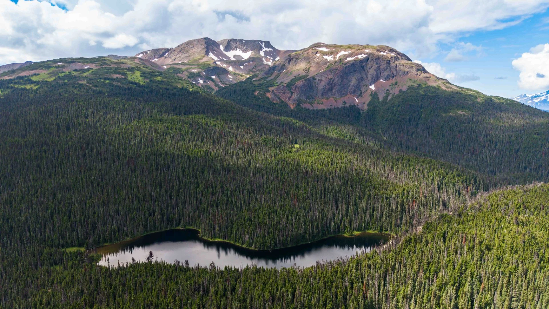 Caribou North Trail