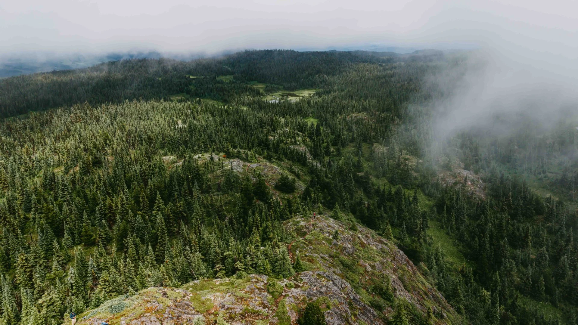 Moose Mountain Trail