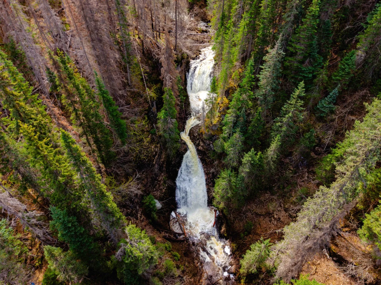 Peacock Falls Trail