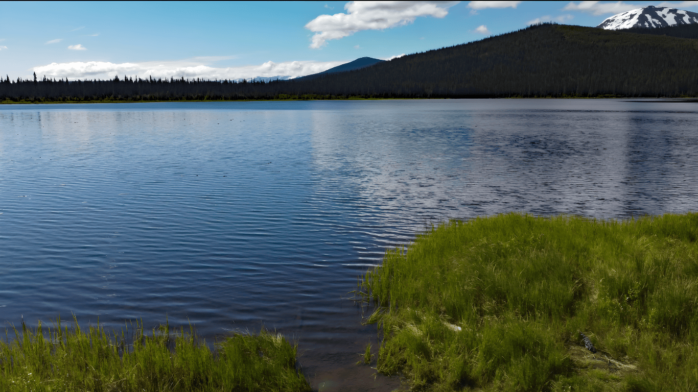 Aldrich Lake (Loon Lake)