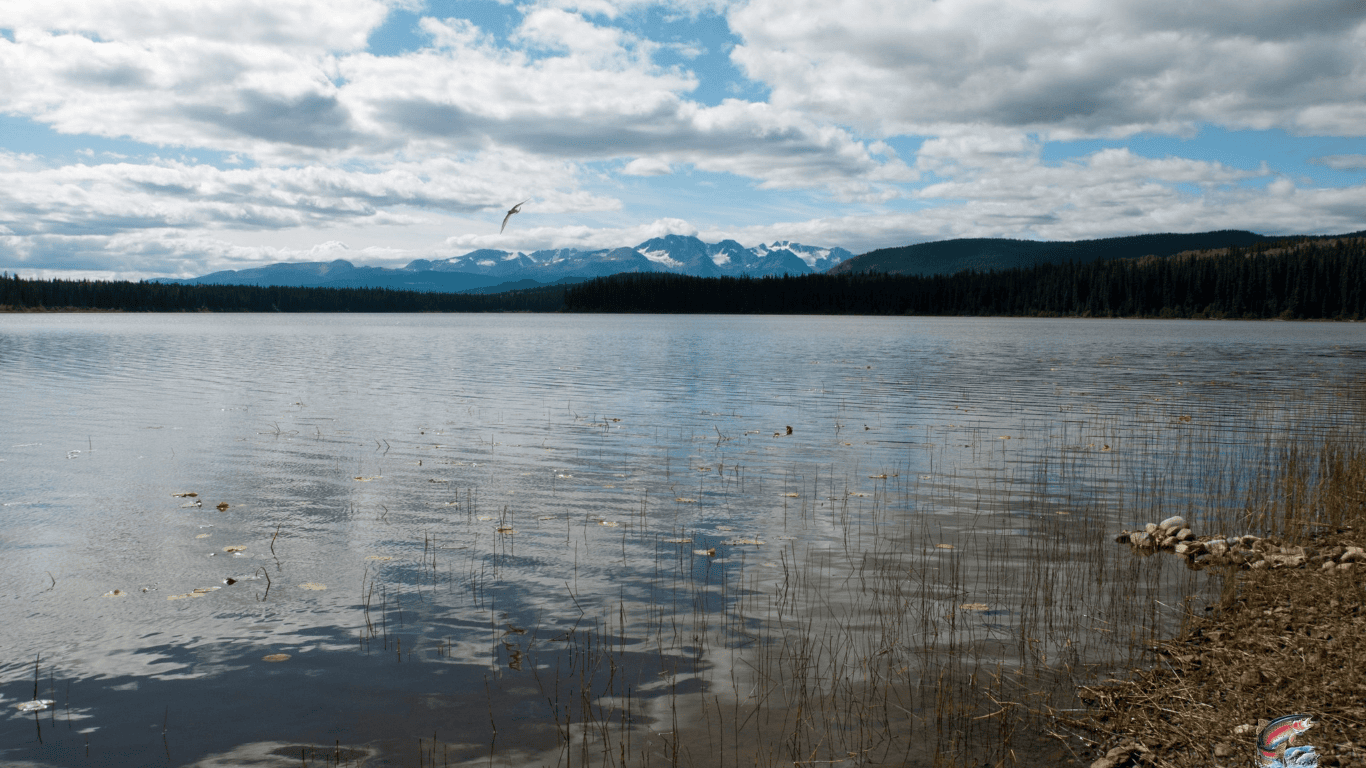 Torkelsen Lake