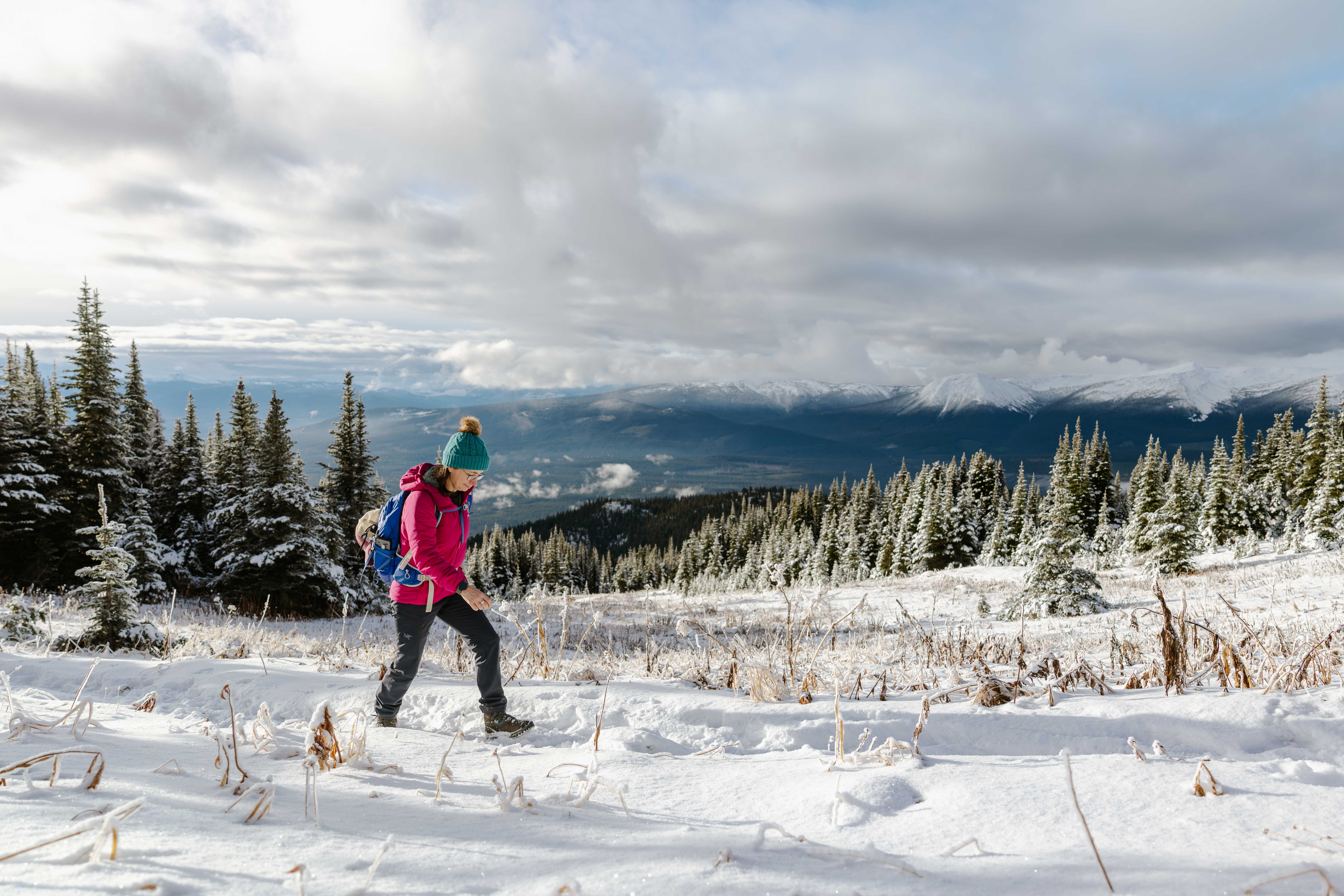 Hudson Bay Mountain Prairie