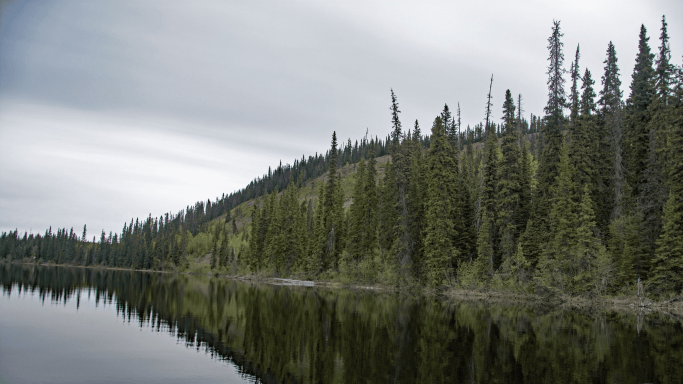 Doris Lake
