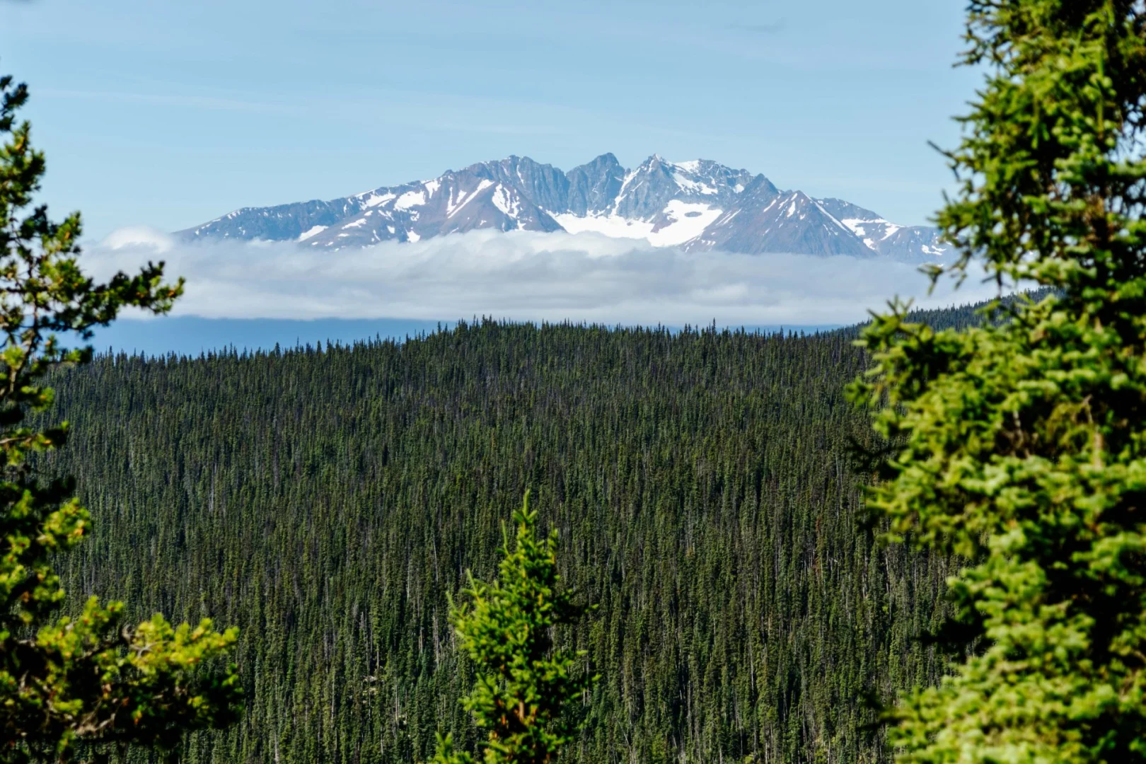 Harvey Mountain