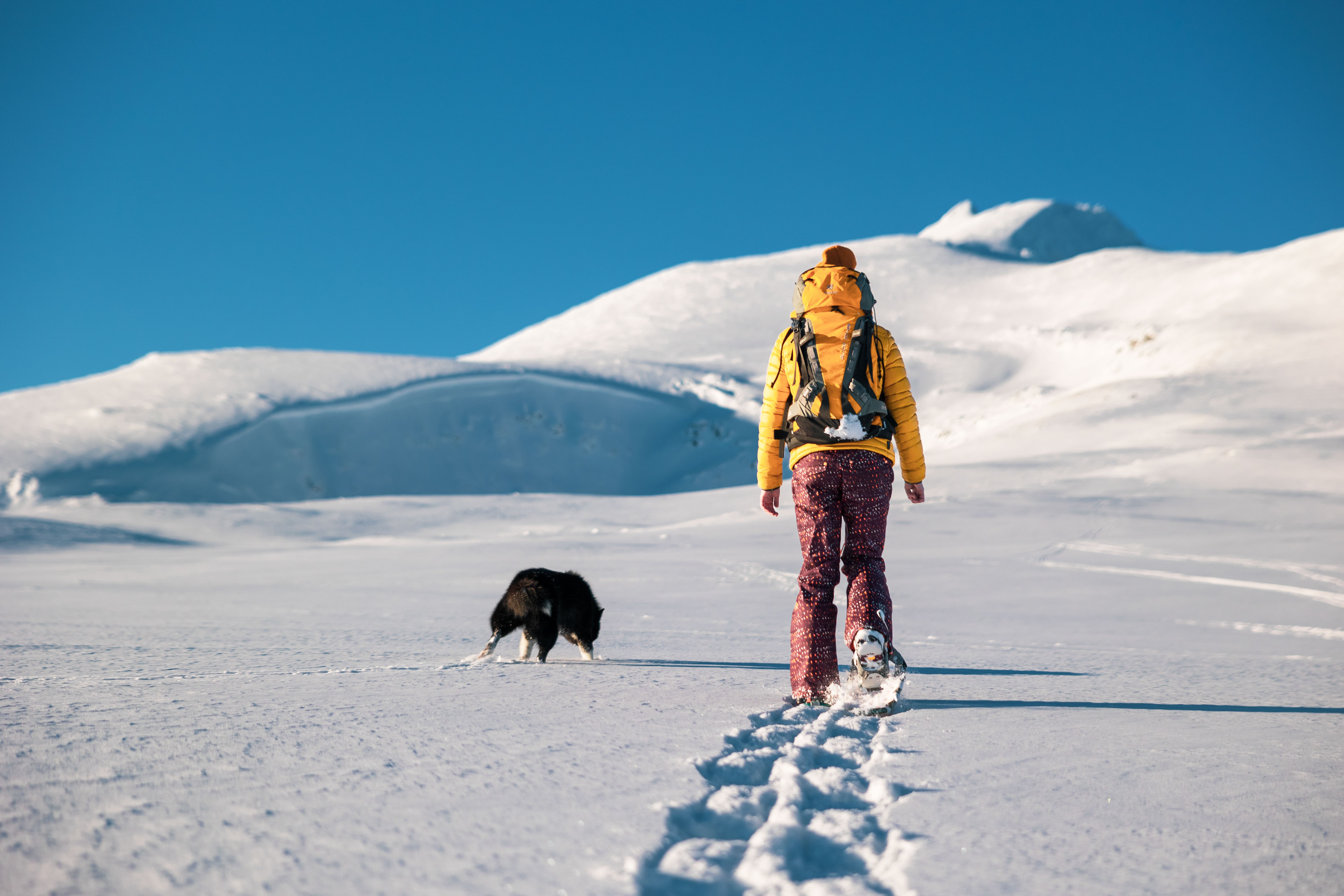 Crater Lake-Snowshoe Trail