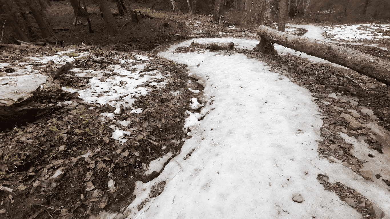 Cart Trail