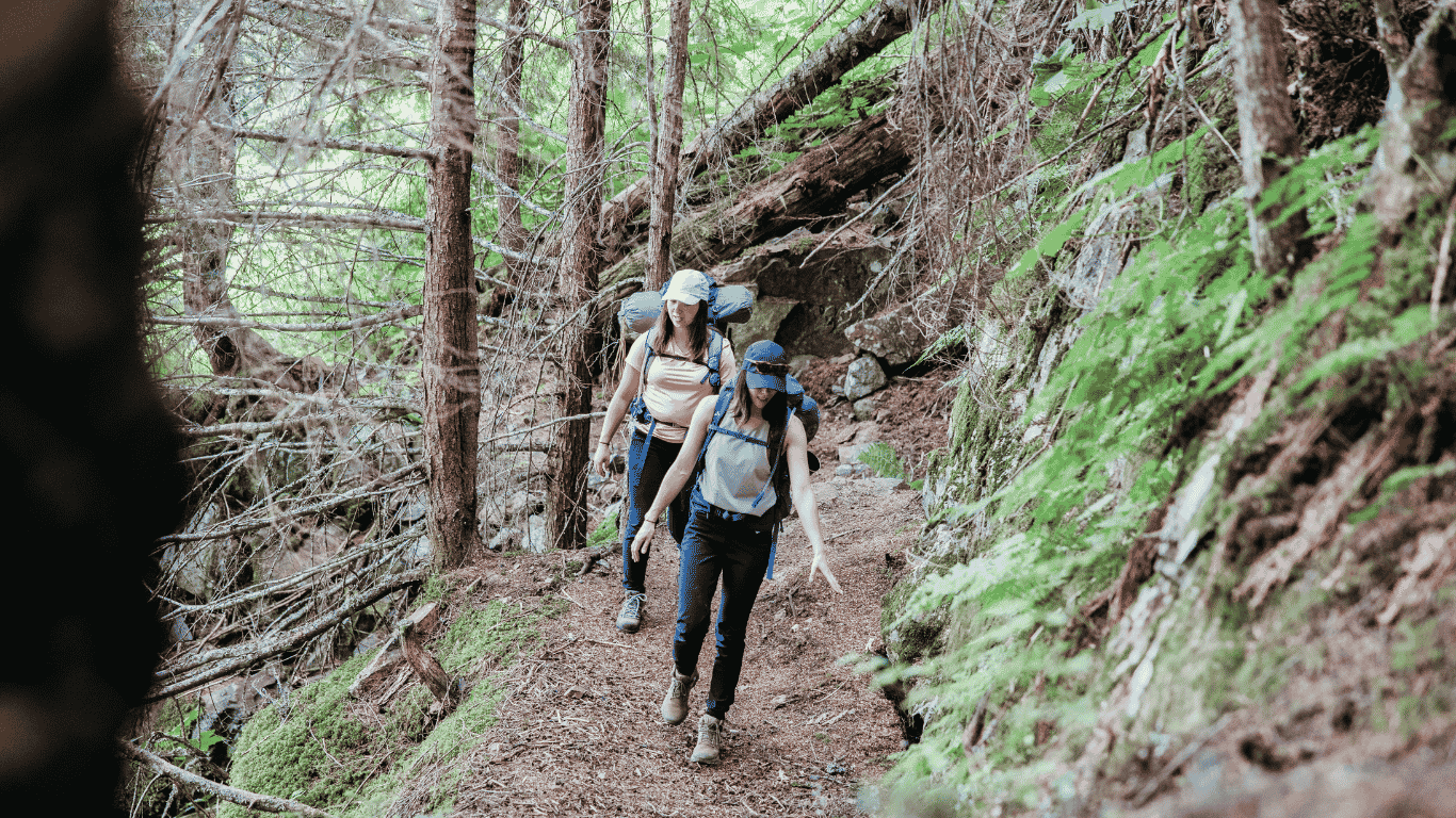 Glacier Gulch Trail