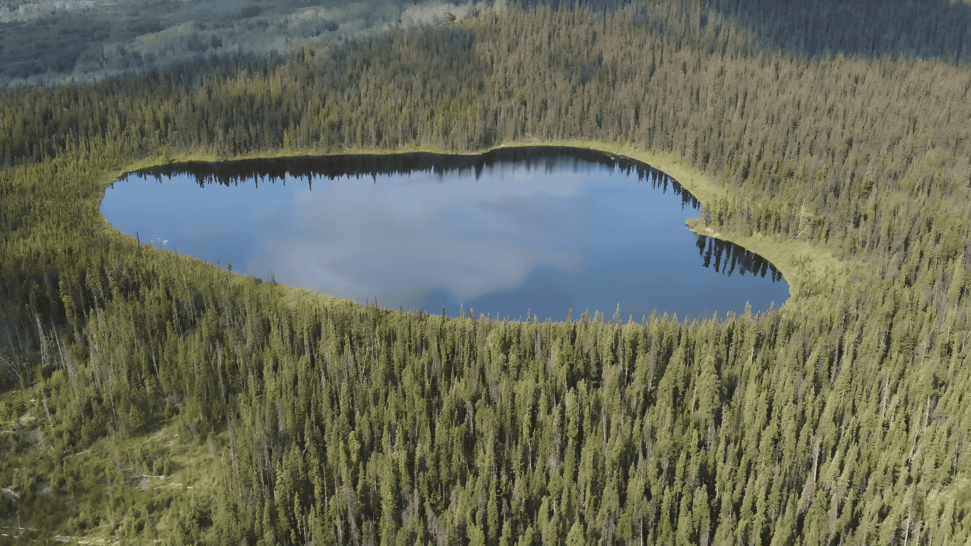 Llama Lake