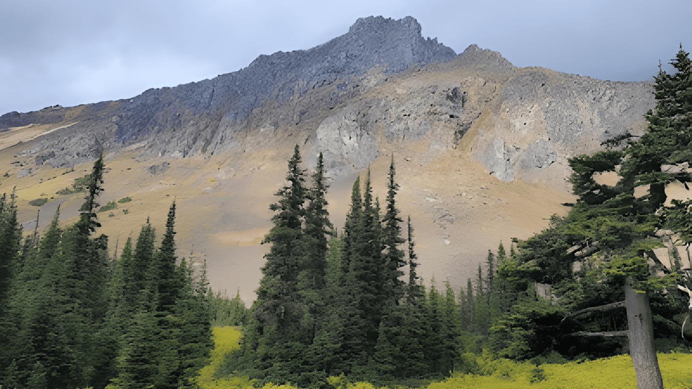 Higgins Creek Trail