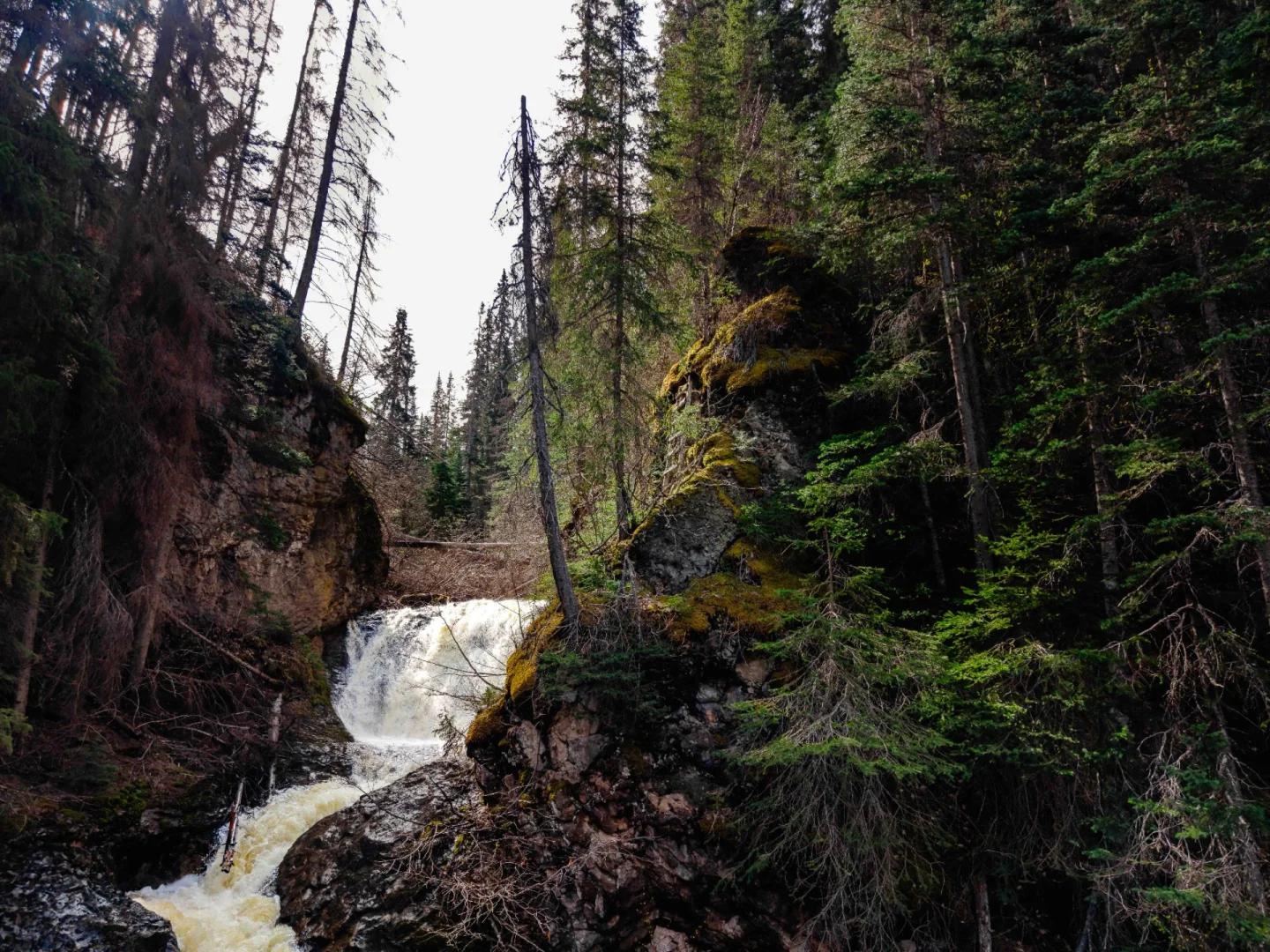Peacock Falls Trail